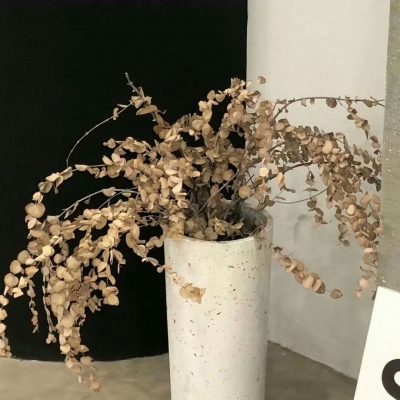 Furry插画元素设计福瑞群